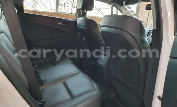 Acheter Occasion Voiture Hyundai Tucson Blanc à Lusaka, Zambie Acheter Occasion Voiture Hyundai Tucson Blanc à Lusaka, Zambie