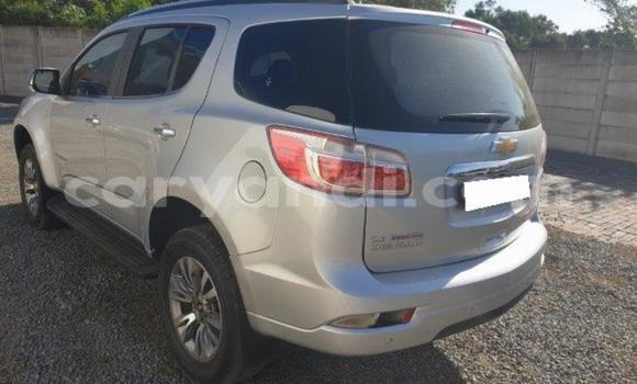 Tenga Tsaru Chevrolet TrailBlazer Sirivha Mota in Lusaka in Zambia Tenga Tsaru Chevrolet TrailBlazer Sirivha Mota in Lusaka in Zambia