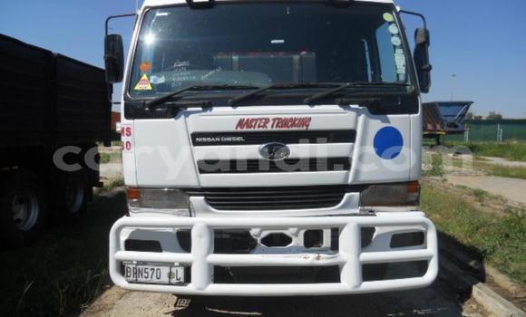 Buy Used Nissan UD White Truck in Lusaka in Zambia
