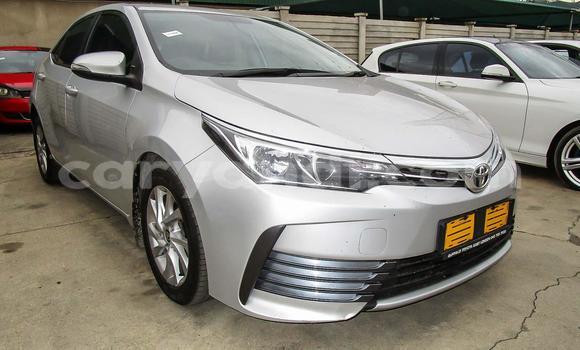 Nunua Ilio tumika Toyota Corolla Fedha Gari ndani ya Lusaka nchini Zambia Nunua Ilio tumika Toyota Corolla Fedha Gari ndani ya Lusaka nchini Zambia