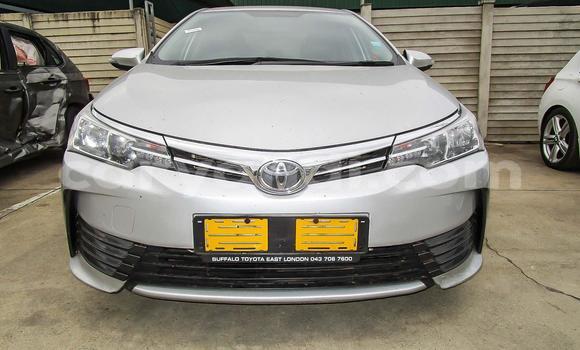 Tenga Tsaru Toyota Corolla Sirivha Mota in Lusaka in Zambia Tenga Tsaru Toyota Corolla Sirivha Mota in Lusaka in Zambia