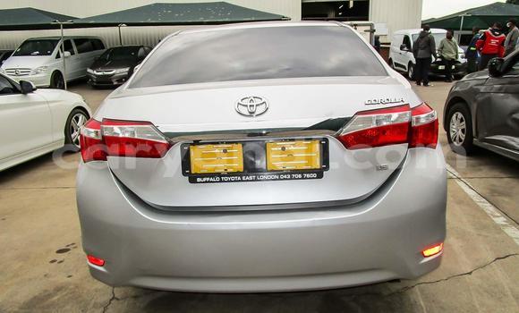 Tenga Tsaru Toyota Corolla Sirivha Mota in Lusaka in Zambia Tenga Tsaru Toyota Corolla Sirivha Mota in Lusaka in Zambia