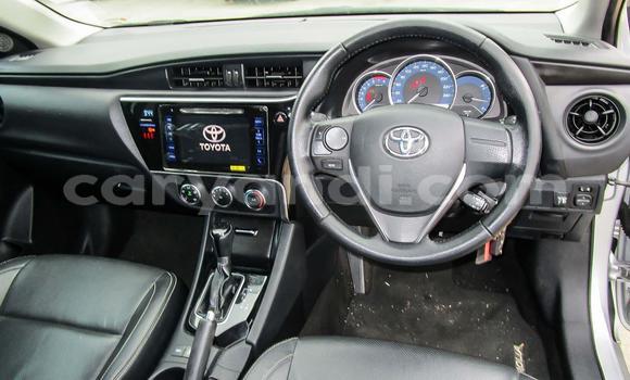 Tenga Tsaru Toyota Corolla Sirivha Mota in Lusaka in Zambia Tenga Tsaru Toyota Corolla Sirivha Mota in Lusaka in Zambia