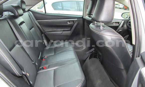 Tenga Tsaru Toyota Corolla Sirivha Mota in Lusaka in Zambia Tenga Tsaru Toyota Corolla Sirivha Mota in Lusaka in Zambia