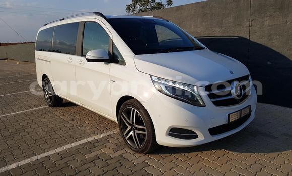 Buy Used Mercedes-Benz E200 White Car in Lusaka in Zambia