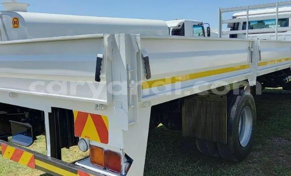 Tenga Tsaru Nissan UD Chena Rori in Livingstone in Zambia Tenga Tsaru Nissan UD Chena Rori in Livingstone in Zambia