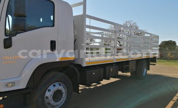 Buy Used Isuzu FTR 850 Other Truck in Zambezi in North-Western