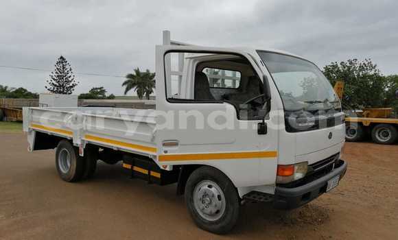 Buy Used Nissan UD White Truck in Solwezi in North-Western