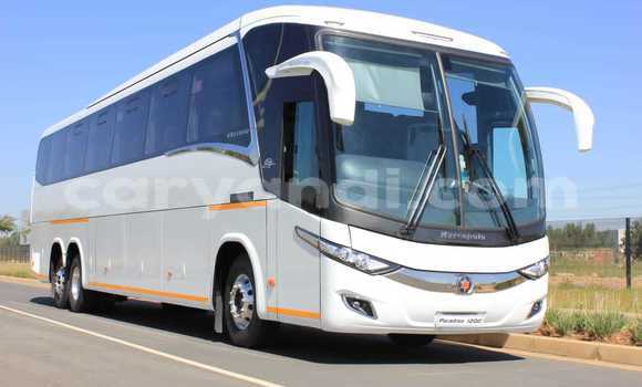 Buy Used Mercedes–Benz 117 Other Truck in Ndola in Zambia