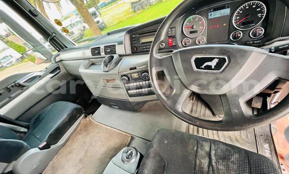 Acheter Occasion Utilitaire Man TGX Autre à Kasama, Zambie Acheter Occasion Utilitaire Man TGX Autre à Kasama, Zambie