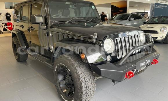 Tenga Tsaru Jeep Wrangler Nhema Mota in Zambezi in North-Western