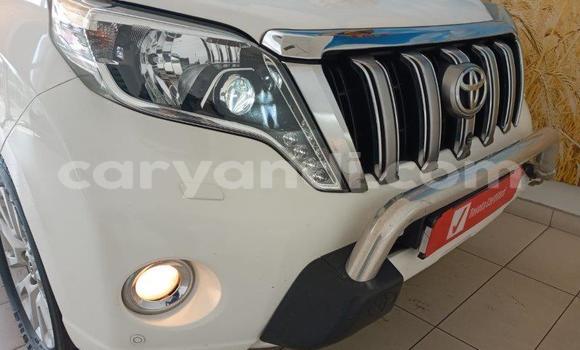 Buy Used Toyota Land Cruiser Prado White Car in Petauke in Eastern