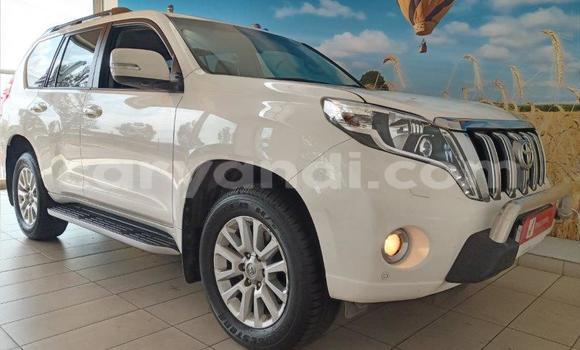 Nunua Ilio tumika Toyota Land Cruiser Prado Nyeupe Gari ndani ya Petauke nchini Mashariki Nunua Ilio tumika Toyota Land Cruiser Prado Nyeupe Gari ndani ya Petauke nchini Mashariki