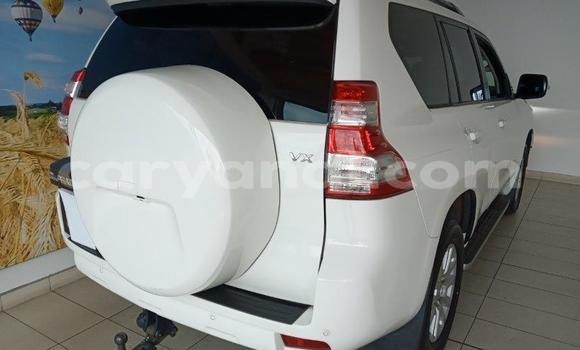 Nunua Ilio tumika Toyota Land Cruiser Prado Nyeupe Gari ndani ya Petauke nchini Mashariki Nunua Ilio tumika Toyota Land Cruiser Prado Nyeupe Gari ndani ya Petauke nchini Mashariki