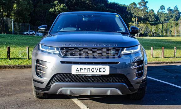 Buy Used Land Rover Range Rover Evoque Other Car in Ndola in Zambia
