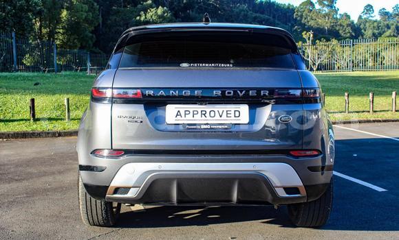 Nunua Ilio tumika Land Rover Range Rover Evoque Nyingine Gari ndani ya Ndola nchini Zambia Nunua Ilio tumika Land Rover Range Rover Evoque Nyingine Gari ndani ya Ndola nchini Zambia