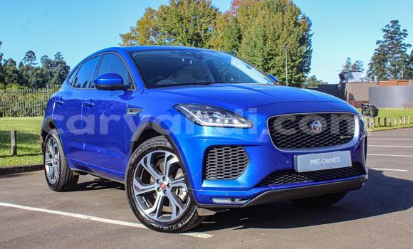 Acheter Occasion Voiture Jaguar E-Pace Autre à Lundazi, Est Acheter Occasion Voiture Jaguar E-Pace Autre à Lundazi, Est