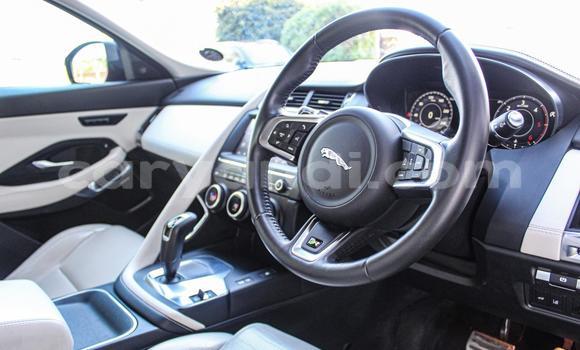 Acheter Occasion Voiture Jaguar E-Pace Autre à Lundazi, Est Acheter Occasion Voiture Jaguar E-Pace Autre à Lundazi, Est