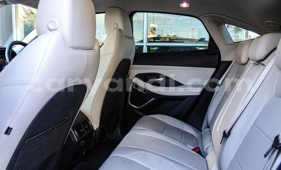 Acheter Occasion Voiture Jaguar E-Pace Autre à Lundazi, Est Acheter Occasion Voiture Jaguar E-Pace Autre à Lundazi, Est