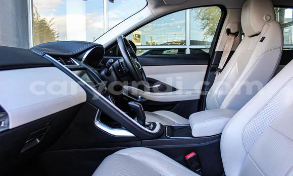Acheter Occasion Voiture Jaguar E-Pace Autre à Lundazi, Est Acheter Occasion Voiture Jaguar E-Pace Autre à Lundazi, Est