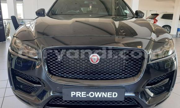 Acheter Occasion Voiture Jaguar F-Pace Noir à Lusaka, Zambie Acheter Occasion Voiture Jaguar F-Pace Noir à Lusaka, Zambie