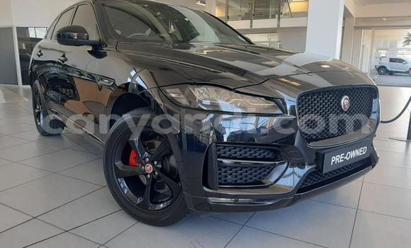 Acheter Occasion Voiture Jaguar F-Pace Noir à Lusaka, Zambie Acheter Occasion Voiture Jaguar F-Pace Noir à Lusaka, Zambie