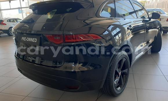 Acheter Occasion Voiture Jaguar F-Pace Noir à Lusaka, Zambie Acheter Occasion Voiture Jaguar F-Pace Noir à Lusaka, Zambie