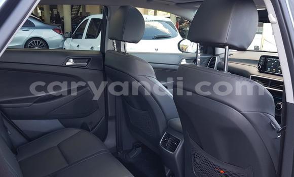 Tenga Tsaru Hyundai Tucson Zvimwe Mota in Choma in Southern Tenga Tsaru Hyundai Tucson Zvimwe Mota in Choma in Southern