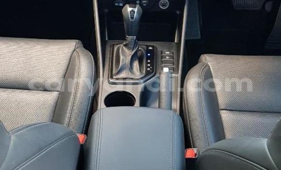 Tenga Tsaru Hyundai Tucson Zvimwe Mota in Choma in Southern Tenga Tsaru Hyundai Tucson Zvimwe Mota in Choma in Southern