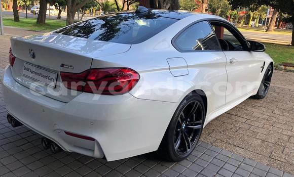 Buy Used BMW M4 Other Car in Samfya in Luapala Buy Used BMW M4 Other Car in Samfya in Luapala