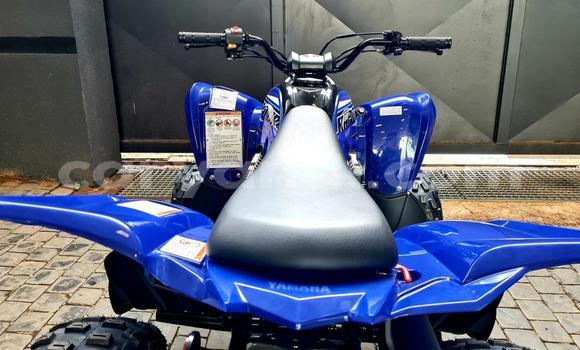 Buy Used Yamaha Raptor Other Bike in Kalomo in Southern