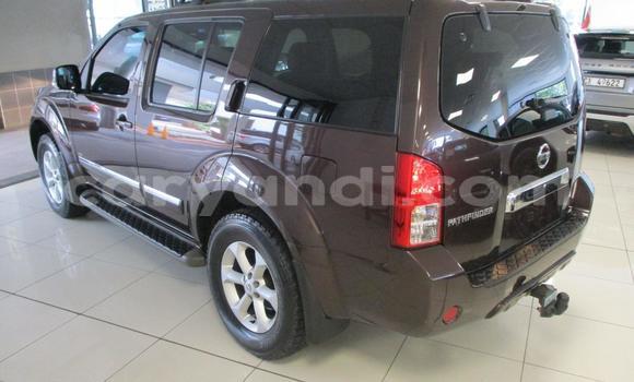 Tenga Tsaru Nissan Pathfinder Zvimwe Mota in Livingstone in Zambia Tenga Tsaru Nissan Pathfinder Zvimwe Mota in Livingstone in Zambia