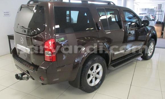 Tenga Tsaru Nissan Pathfinder Zvimwe Mota in Livingstone in Zambia Tenga Tsaru Nissan Pathfinder Zvimwe Mota in Livingstone in Zambia