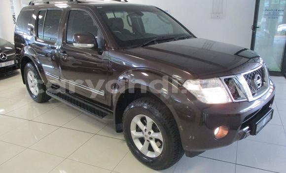 Tenga Tsaru Nissan Pathfinder Zvimwe Mota in Livingstone in Zambia Tenga Tsaru Nissan Pathfinder Zvimwe Mota in Livingstone in Zambia