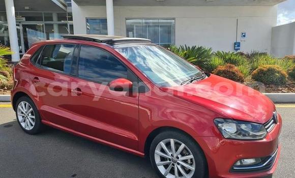 Buy Used Volkswagen Polo Red Car in Livingstone in Zambia
