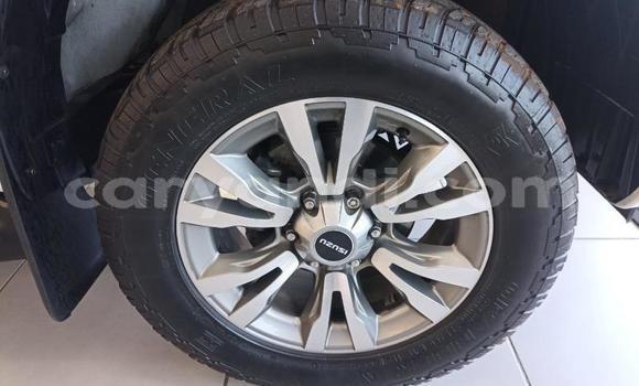 Buy Used Isuzu KB White Car in Livingstone in Zambia Buy Used Isuzu KB White Car in Livingstone in Zambia