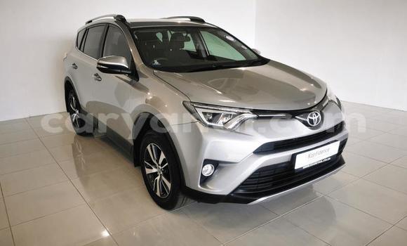 Buy Used Toyota RAV4 Silver Car in Livingstone in Zambia