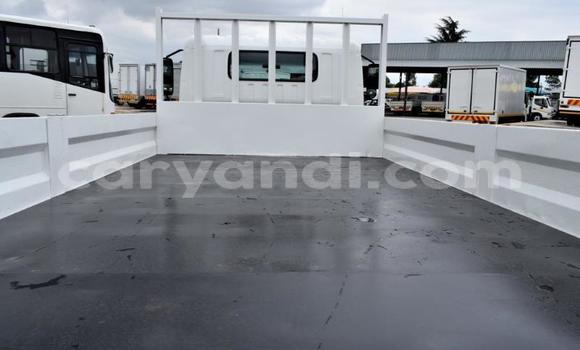 Buy Used Hino 300 Series White Truck in Livingstone in Zambia Buy Used Hino 300 Series White Truck in Livingstone in Zambia