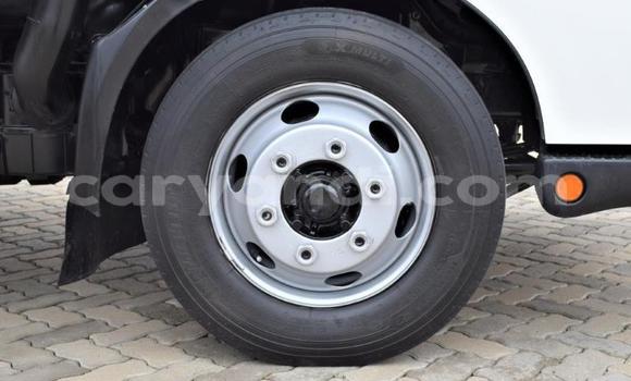 Buy Used Hino 300 Series White Truck in Livingstone in Zambia Buy Used Hino 300 Series White Truck in Livingstone in Zambia