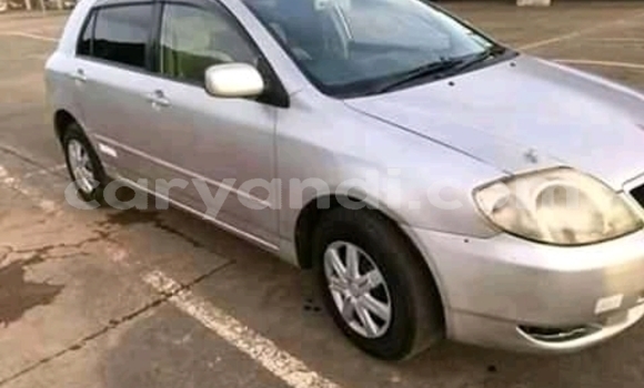 Buy Used Toyota Runx Silver Car in Lusaka in Zambia Buy Used Toyota Runx Silver Car in Lusaka in Zambia