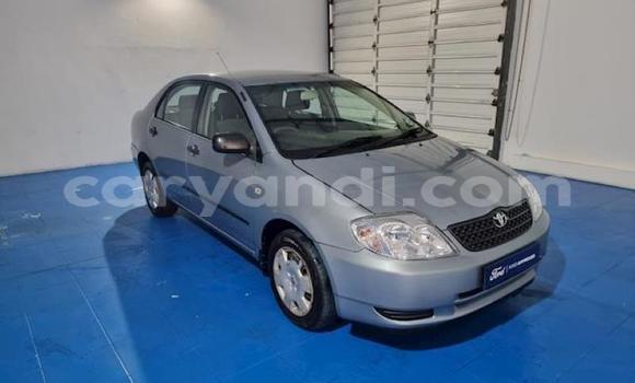 Nunua Ilio tumika Toyota Corolla Bluu Gari ndani ya Livingstone nchini Zambia Nunua Ilio tumika Toyota Corolla Bluu Gari ndani ya Livingstone nchini Zambia