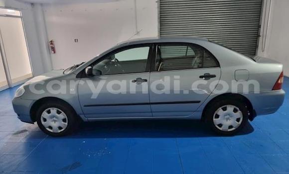 Nunua Ilio tumika Toyota Corolla Bluu Gari ndani ya Livingstone nchini Zambia Nunua Ilio tumika Toyota Corolla Bluu Gari ndani ya Livingstone nchini Zambia