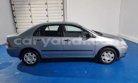 Nunua Ilio tumika Toyota Corolla Bluu Gari ndani ya Livingstone nchini Zambia Nunua Ilio tumika Toyota Corolla Bluu Gari ndani ya Livingstone nchini Zambia