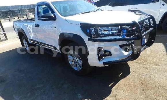 Tenga Tsaru Toyota Hilux Chena Mota in Chilanga in Lusaka Tenga Tsaru Toyota Hilux Chena Mota in Chilanga in Lusaka