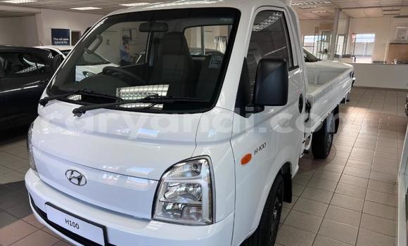 Buy Used Hyundai H200 White Truck in Zambezi in North-Western Buy Used Hyundai H200 White Truck in Zambezi in North-Western