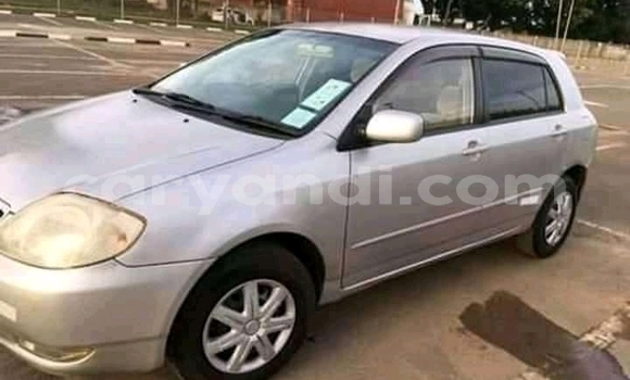 Buy Used Toyota Runx Silver Car in Lusaka in Zambia Buy Used Toyota Runx Silver Car in Lusaka in Zambia