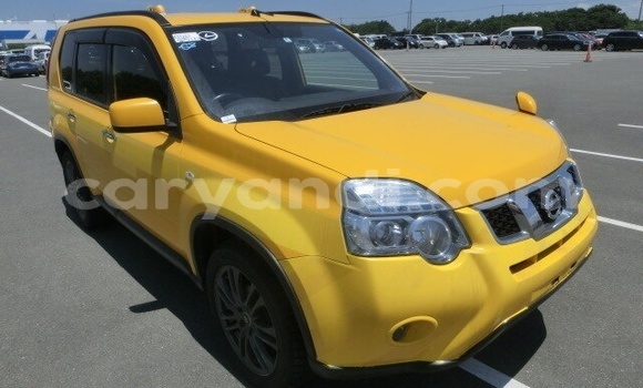 Buy Used Nissan X–Trail Brown Car in Livingstone in Zambia Buy Used Nissan X–Trail Brown Car in Livingstone in Zambia