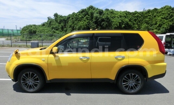 Buy Used Nissan X–Trail Brown Car in Livingstone in Zambia Buy Used Nissan X–Trail Brown Car in Livingstone in Zambia