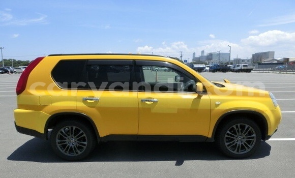 Buy Used Nissan X–Trail Brown Car in Livingstone in Zambia Buy Used Nissan X–Trail Brown Car in Livingstone in Zambia