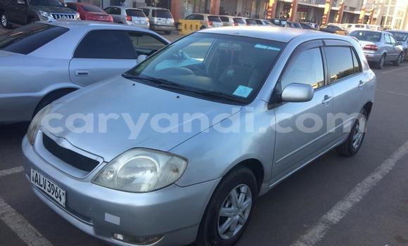 Acheter Occasion Voiture Toyota Runx Gris à Lusaka, Zambie Acheter Occasion Voiture Toyota Runx Gris à Lusaka, Zambie
